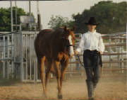 1996 Smooth Pacs in Mares at Halter